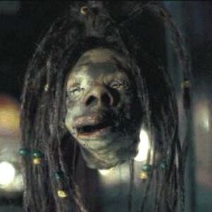 Harry Potter Decorative Shrunken Dre Head from Etsy